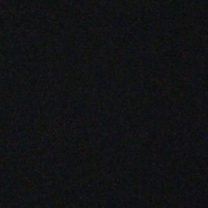 Meet your Posher, Monique